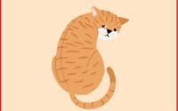6 Rekomendasi Obat Kutu Kucing Tradisional yang Aman dan Ampuh 3 obat kutu kucing tradisional